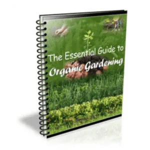 The Essential Guide to Organic Gardening